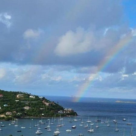 Bethany House - Immaculate Ocean Views Above The Westin Resort - Large Deck Cruz Bay Экстерьер фото